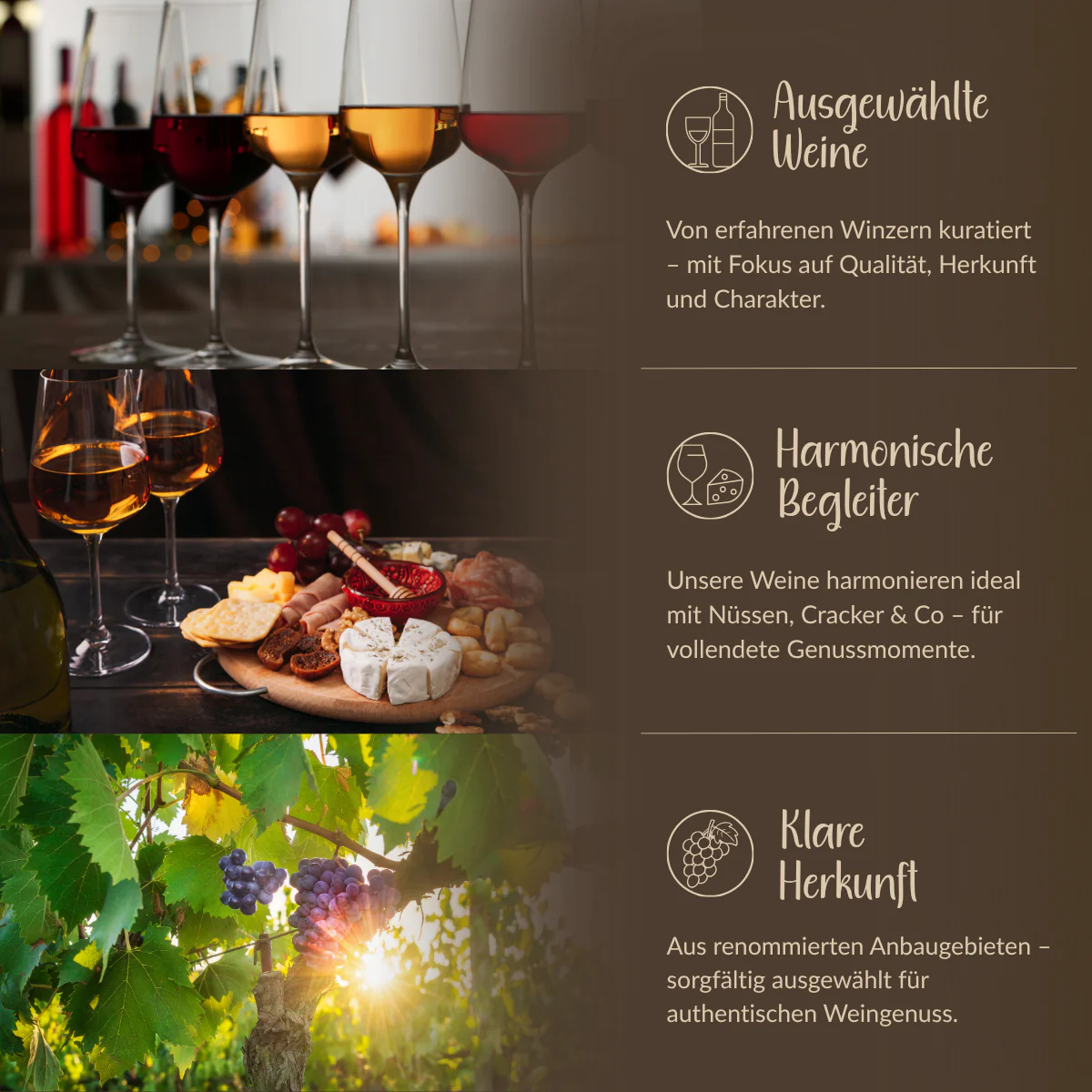 Trockener Rotwein – „Perfect Match“ Merlot - Image 3